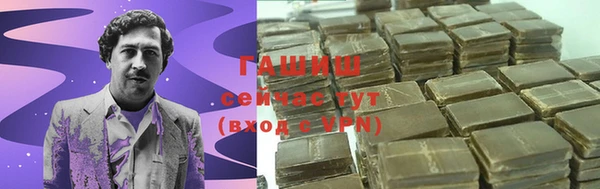 индика Володарск