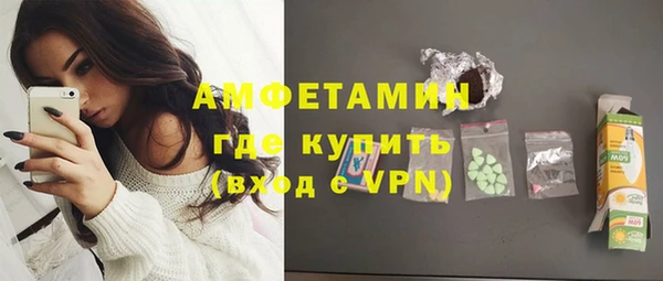 индика Володарск