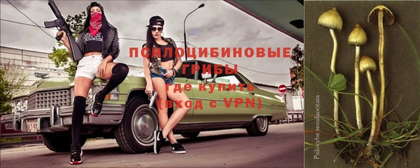 2c-b Ветлуга
