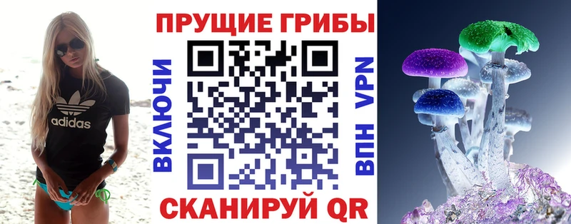 Псилоцибиновые грибы мицелий  Гаджиево 